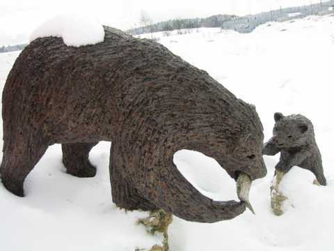 Baer im Schnee 2