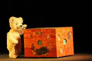 Baer_Licht_1