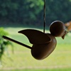 bird Watching